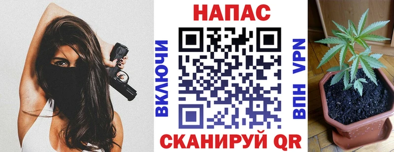 закладки  Муром  Конопля конопля 